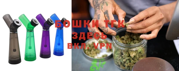 ешки Аркадак