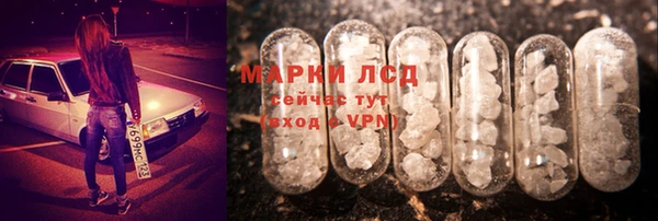 ешки Аркадак