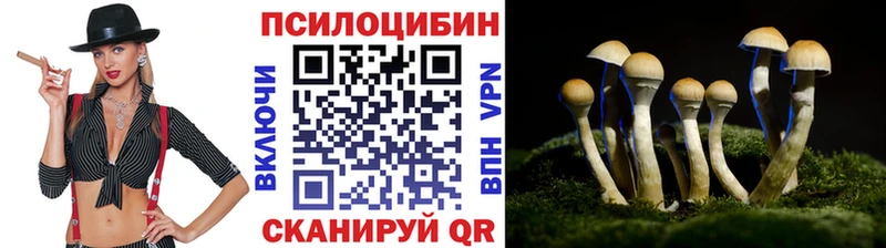 продажа наркотиков  Усолье  Псилоцибиновые грибы Psilocybine cubensis 